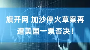 旗开网 加沙停火草案再遭美国一票否决！