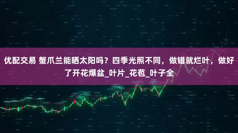 优配交易 蟹爪兰能晒太阳吗？四季光照不同，做错就烂叶，做好了开花爆盆_叶片_花苞_叶子全